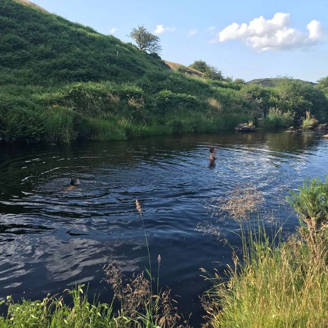 Healers dance swimming at a retreat